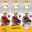 Pratolina LED Flush Mount-1684042724