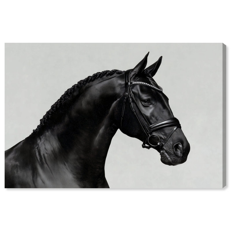Midnight Majesty I Print by Oliver Gal, 15"H x 10"W, Gallery Wrapped