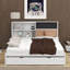 Lit de jour double avec tablettes de rangement, tableau noir, tableau de liège, ports USB et lit gigogne-1181893185