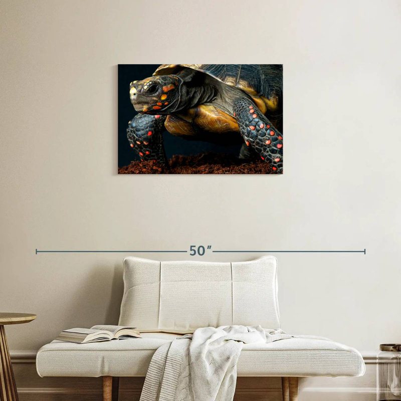 Brampt Amazon Red Footed Tortoise, 20" H x 30" W