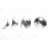 Eclipse in Several Phases - Black & White Canvas Wall Art