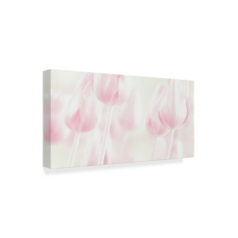 « rose floral doux », reproduction de photo sur toile tendue, H 24 po x l 47 po x P 2 po