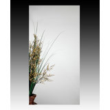 15'' W Mirrored Medicine Cabinet