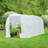 78.75" W x 14.8" D Greenhouse