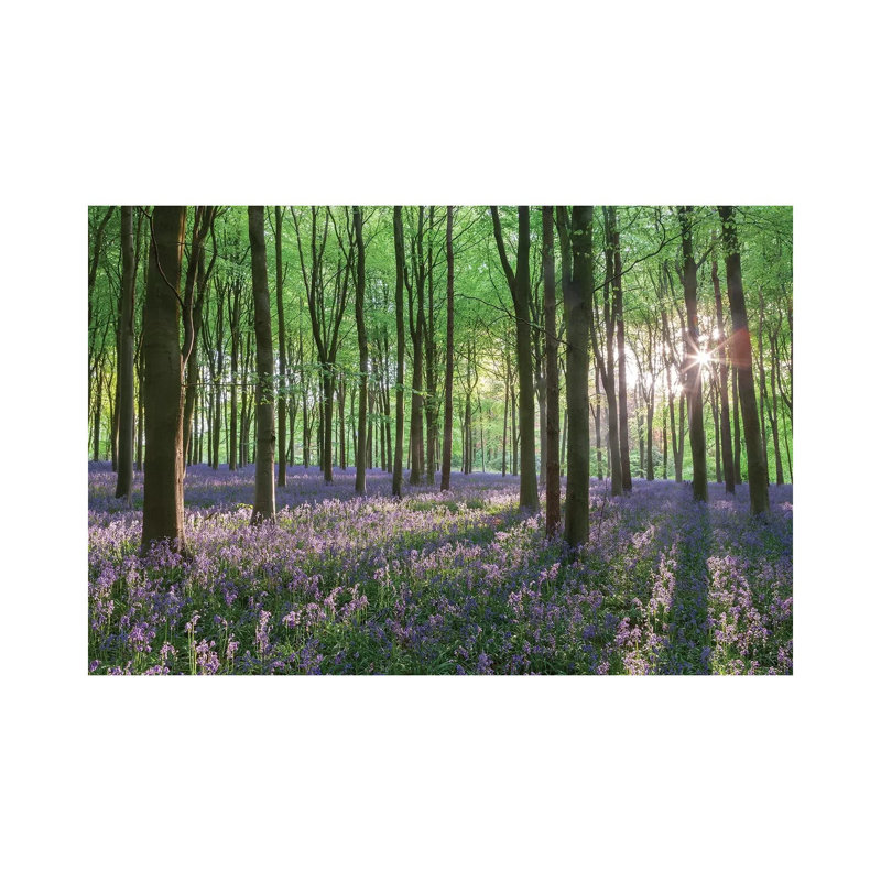 Wildflower Woodland I by Adam Burton - Wrapped Canvas Print, 20.32 cm H x 30.48 cm W