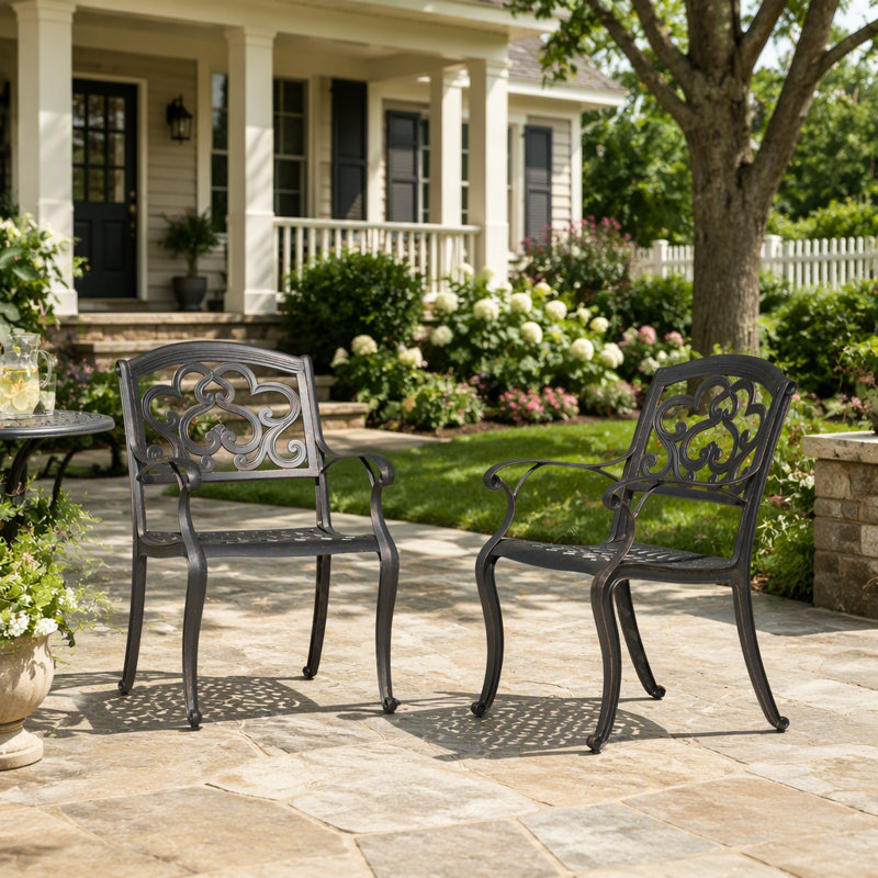 Chaises de jardin, ensemble de 2