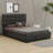 Deaundra Upholstered Platform Storage Bed-955994494-1000707689