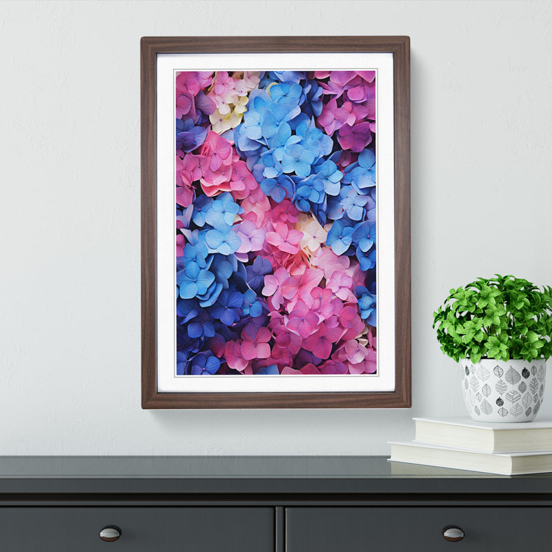 Hydrangea Colour Field - Framed Print, Walnut Framed, 64cm H x 46cm W x 2cm D