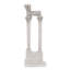 Sculpture colonne de coin vespasian pour forum romaine