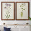 Mauve Garden Flowers III, toile encadrée de qualité supérieure - prête à être accrochée-75683463-75683466