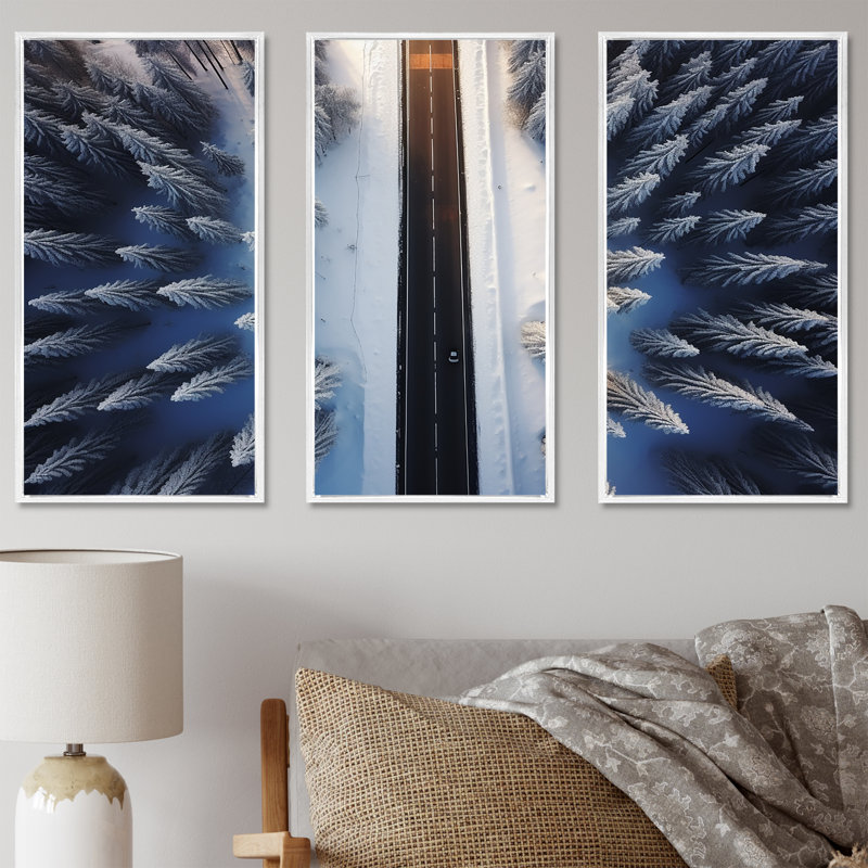 Endless Road Into Winter Forest I - Art mural mural, Cadre flottant blanc, H 28 po x l 36 po