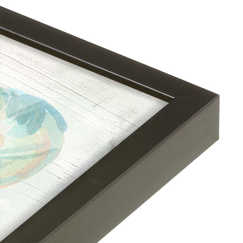 Reproduction d'art «Saltwashed Shells IV» par June Erica Vess, Noir, H 12 po x l 12 po