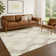 Machine Washable Indoor/Outdoor Bingel ACN2326 Mid-Century Modern Rug