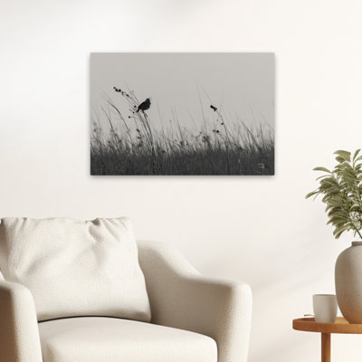 Contemporary Meadowlark Call BW
