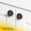 Bouton d'armoire de cuisine à disque plat BXB11162R2, diamètre de 1-1 / 2 po, finition laiton vieilli