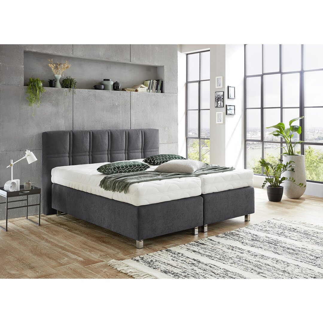 Boxspringbett Ugarte