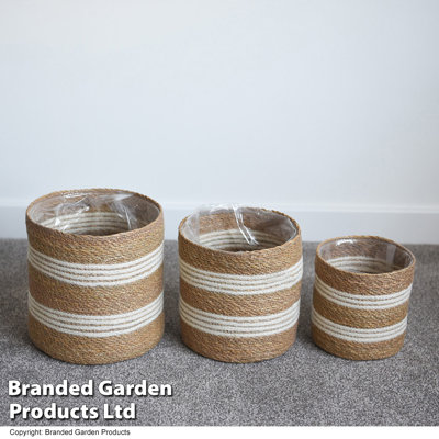 Nara Pot Planter