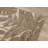 Rillito Beige Botanical Polyester Living Room Carpet-70380303