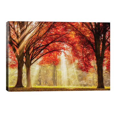 Everland by Lars Van De Goor - Wrapped Canvas Painting