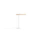 Type A Floor Lamp-61733796-61733797