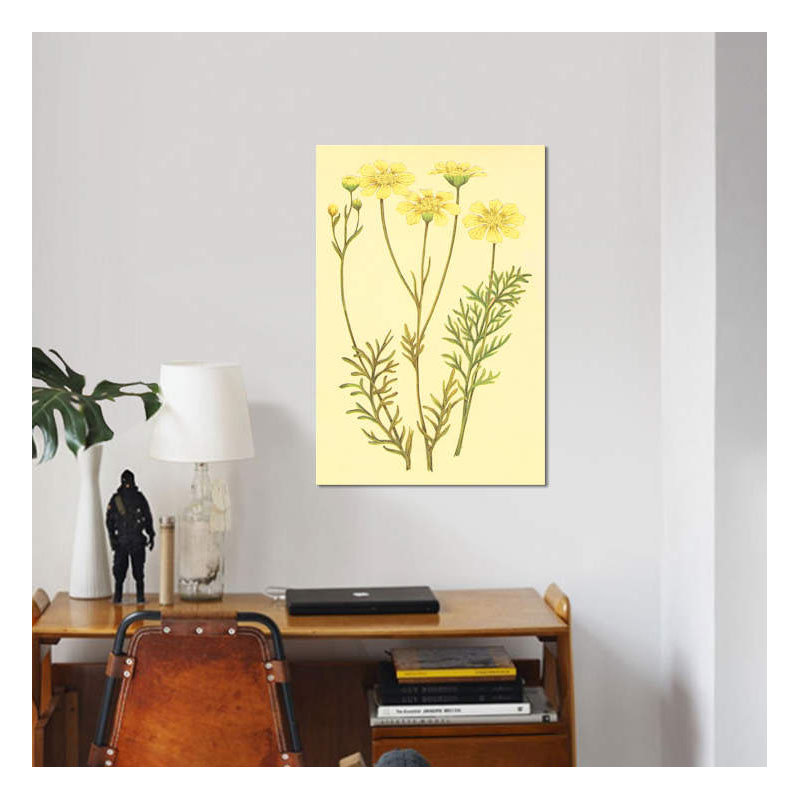 « newberry leucampyx », impression sur toile, H 12 po x l 8 po x P 0,75 po