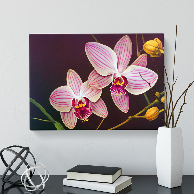 Iconic Orchid Flowers - Wrapped Canvas, 40cm H x 60cm W x 3cm D