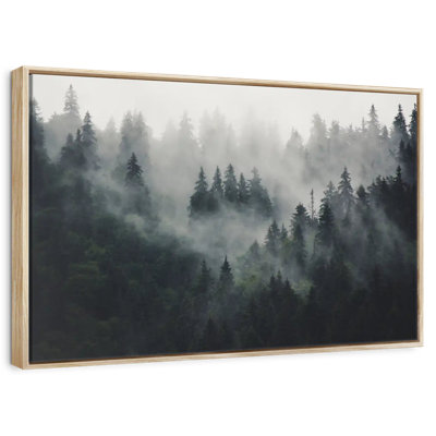 Misty Forest Mountain