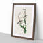 Chestnut-sided Warbler by John Audubon - Picture Frame Painting Print-55536166-55536167