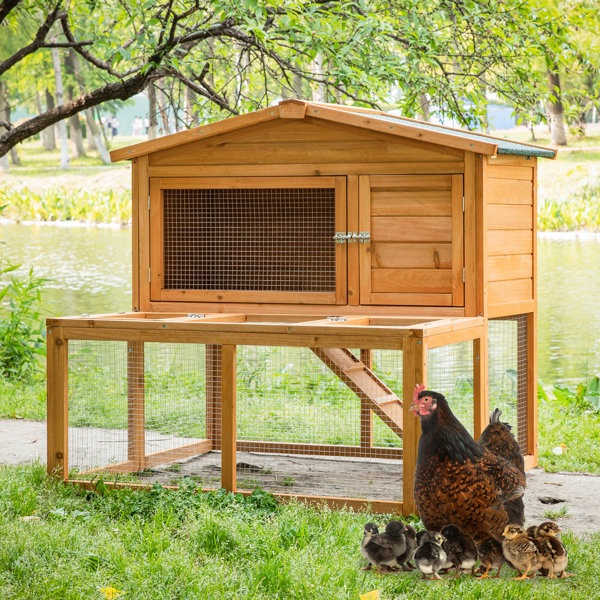Tucker Murphy Pet™ Outdoor Wooden Chicken Coop Poultry Pet With Nest ...