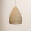 Karlene 1 - Light Pendant