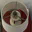 Customer photo 2 of 2