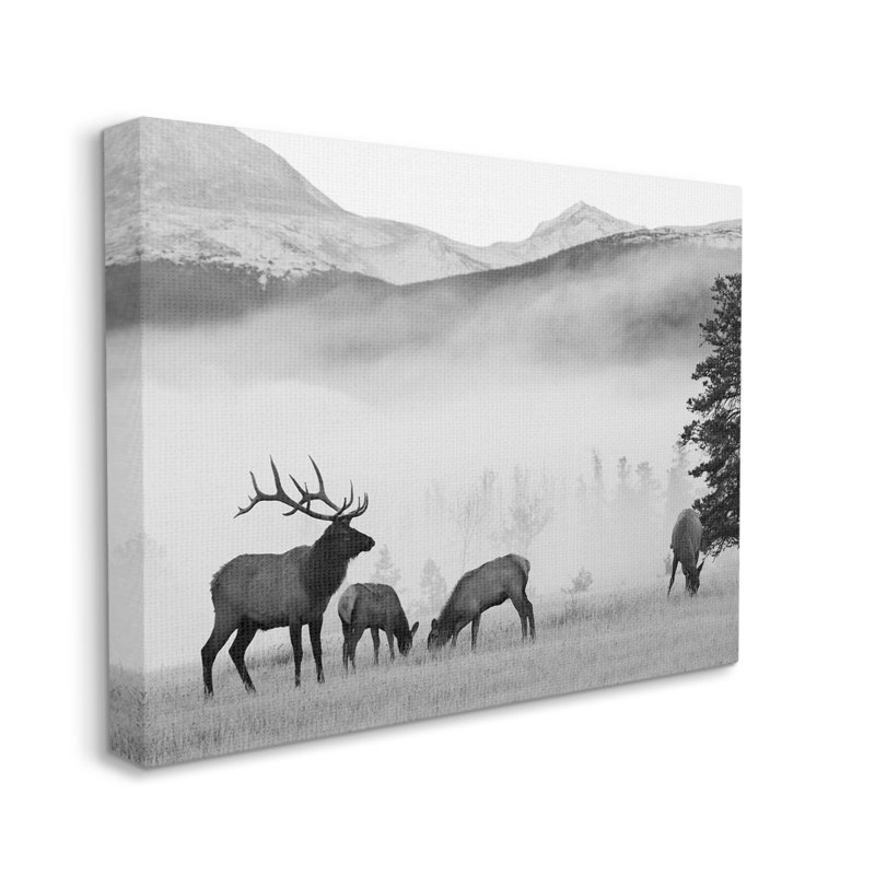 Art mural sur toile brumeux, "Deer" par Danita Delimont, H 16 po x l 20 po x P 1,5 po