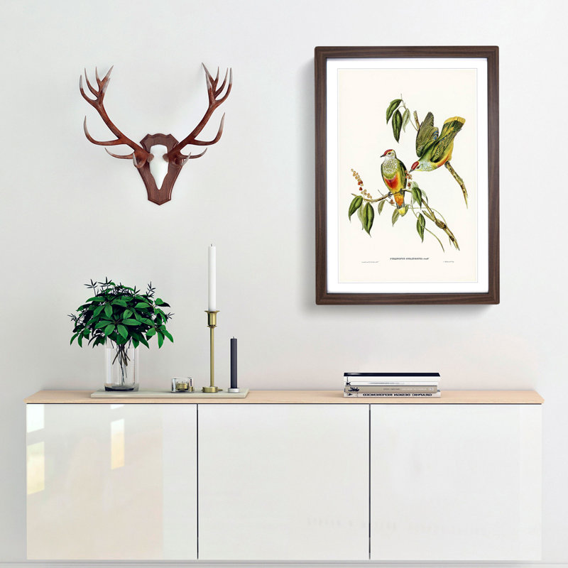 Swainson's Fruit Pigeons by Elizabeth Gould - Picture Frame Art Prints, 48cm H x 36cm W x 2cm D, Walnut Framed