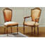 Upholstered Arm Chair