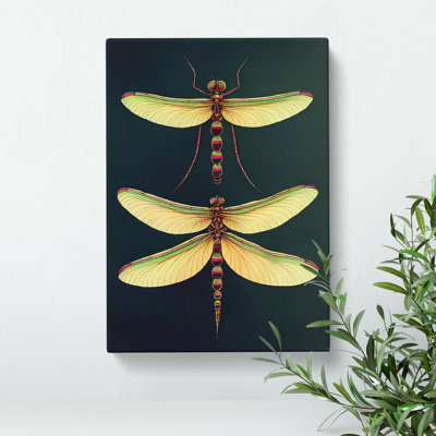 Desirable Dragonflies - Wrapped Canvas