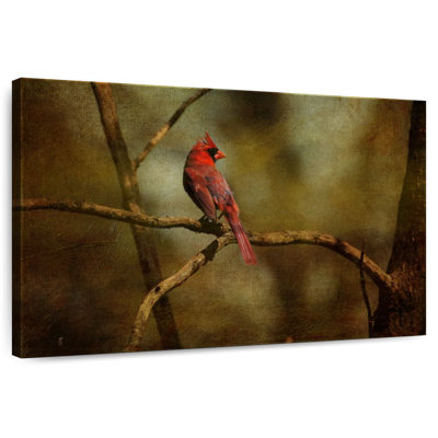 Cardinal Brampt sur une branche