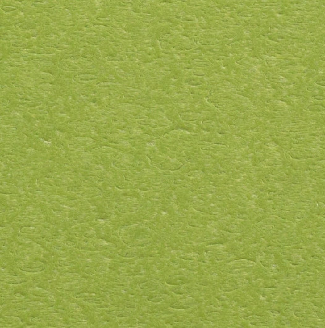 POLYWOOD® South Beach Adirondack Chair, Green