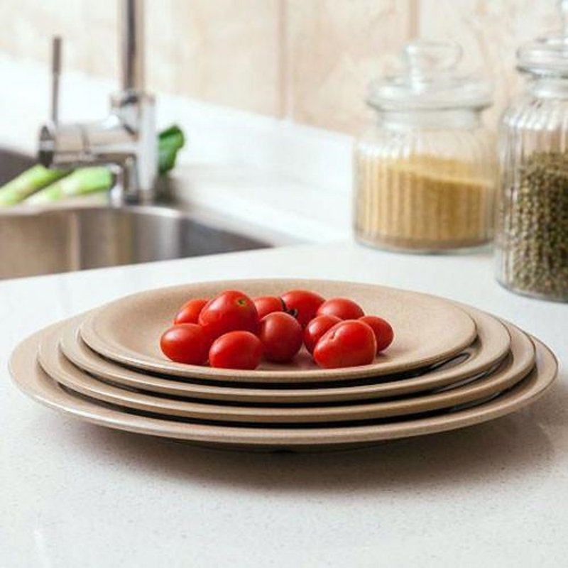 Antorion 4 Piece Dinner Plate Set