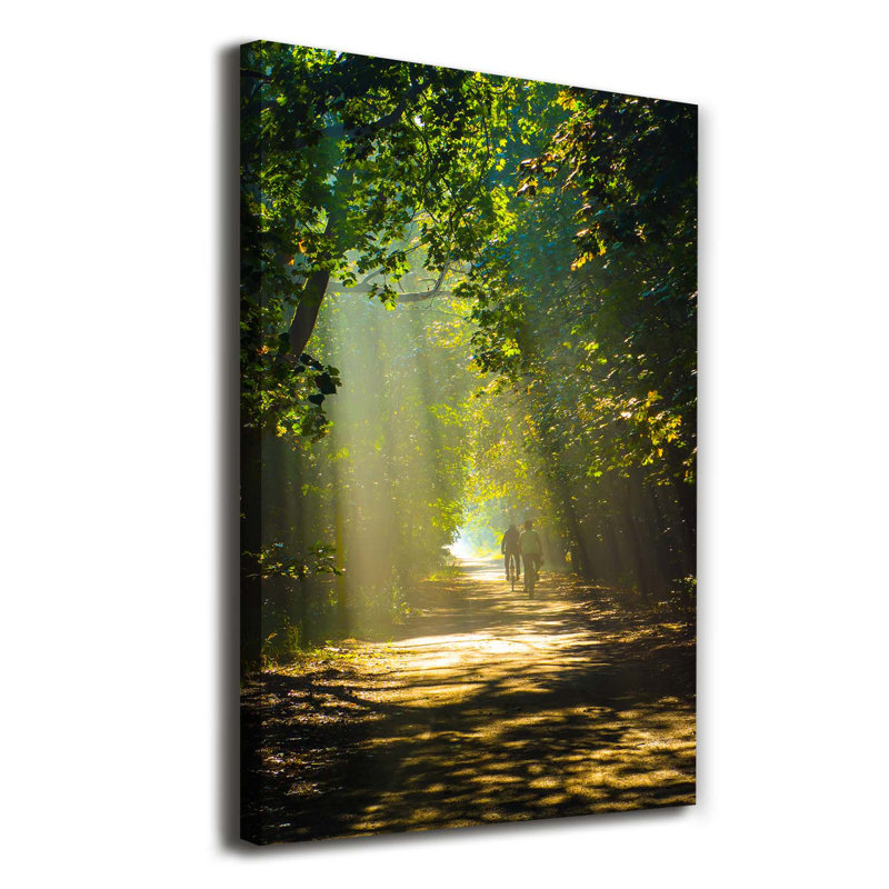 Rosalind Wheeler Path in the Forest - Wrapped Canvas Art Prints ...