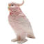 Decorative jar Exotic Bird