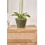 80cm Faux Plant in Cement Pot Liner