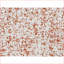 Repose-pieds en tissu bouclé rose avec structure en métal robuste, facile à assembler pour le salon | Base en acier inoxydable | Argent brossé