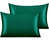 Vert foncé
