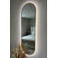 Delmarie Metal Oval Mirror