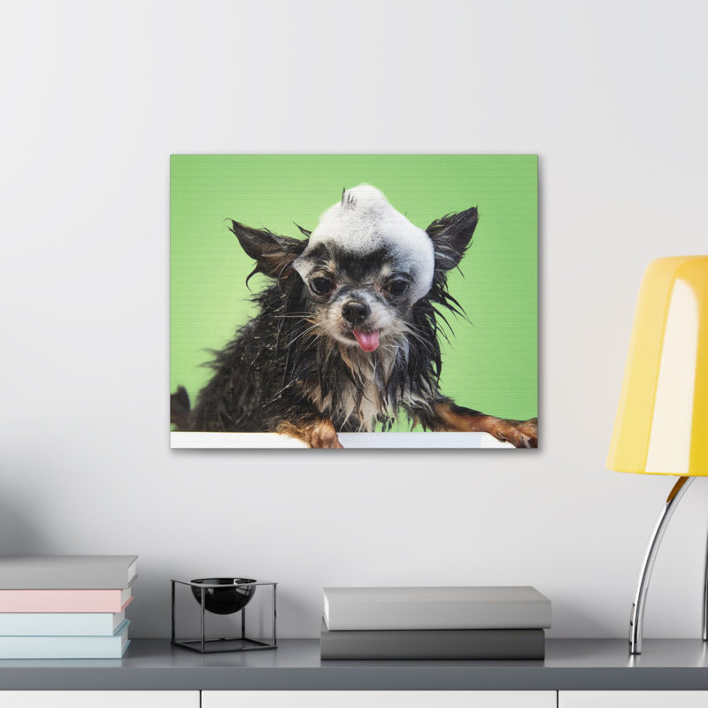 «Funny Chihuahua Bath», art mural sur toile, H 12 po x l 18 po