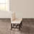 Messerly Polyester Blend Upholstered Bench