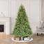 Sapin de Noël givré pré-éclairé-50784600