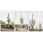 «Cactus Desert», Boho Southwest Landscape-124835443-91875145