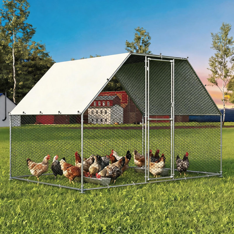 Grand poulailler en métal, housse anti-UV et imperméable, 78.72" D x 78.72" H x 118.08" W