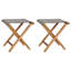 Alkmaar Folding Camping Stool-957362911
